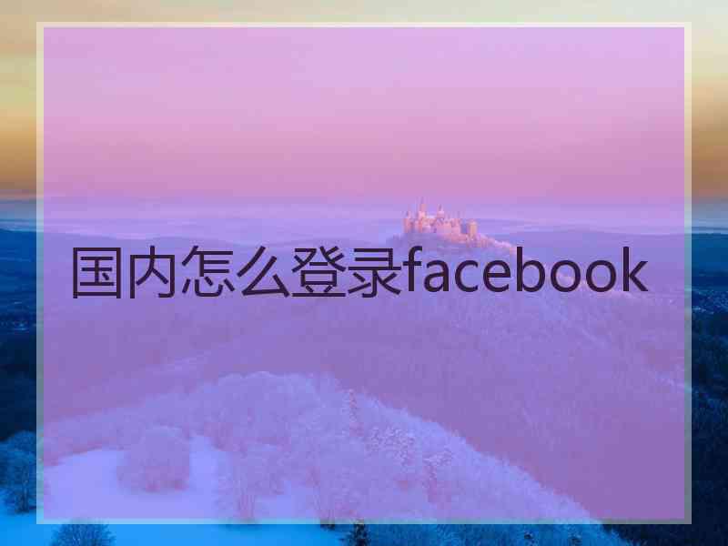 国内怎么登录facebook